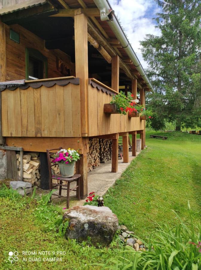 Dorina Hiza Villa Karlovac Bagian luar foto