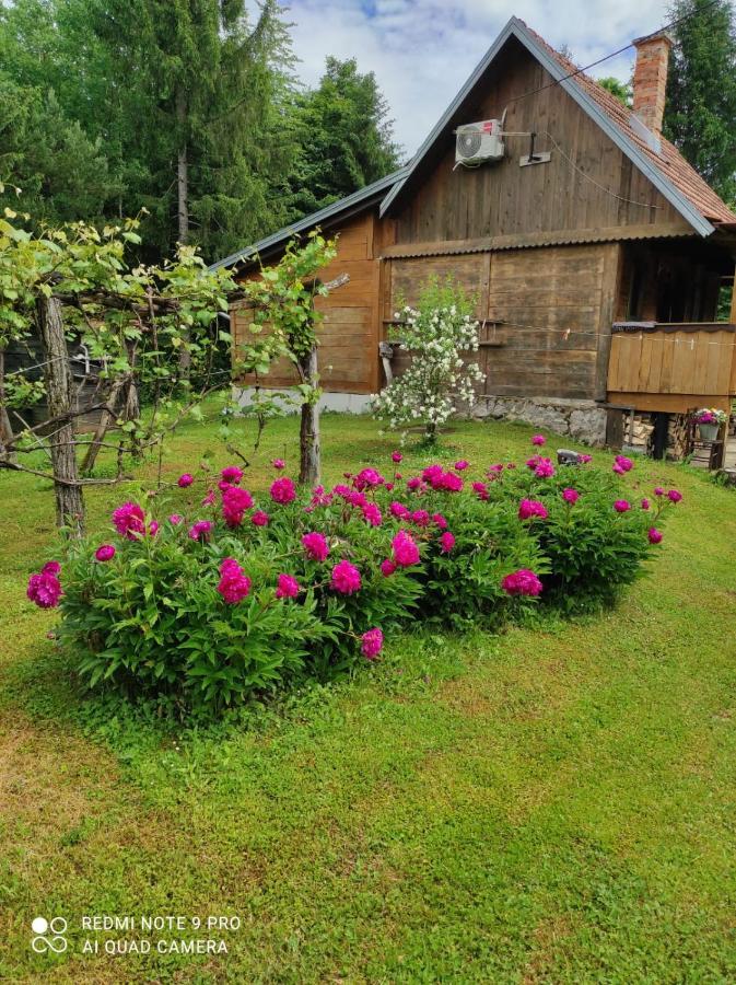 Dorina Hiza Villa Karlovac Bagian luar foto