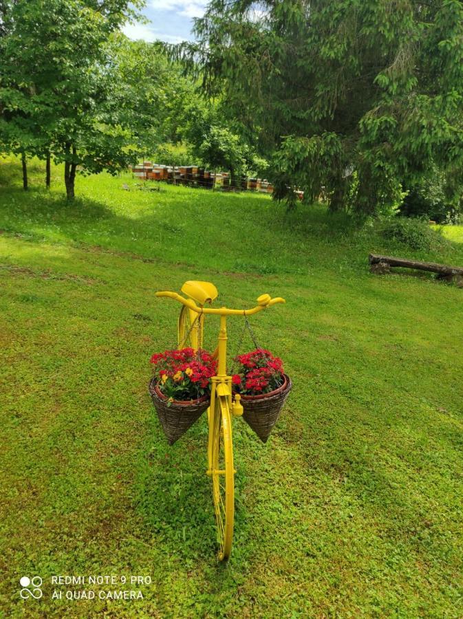 Dorina Hiza Villa Karlovac Bagian luar foto