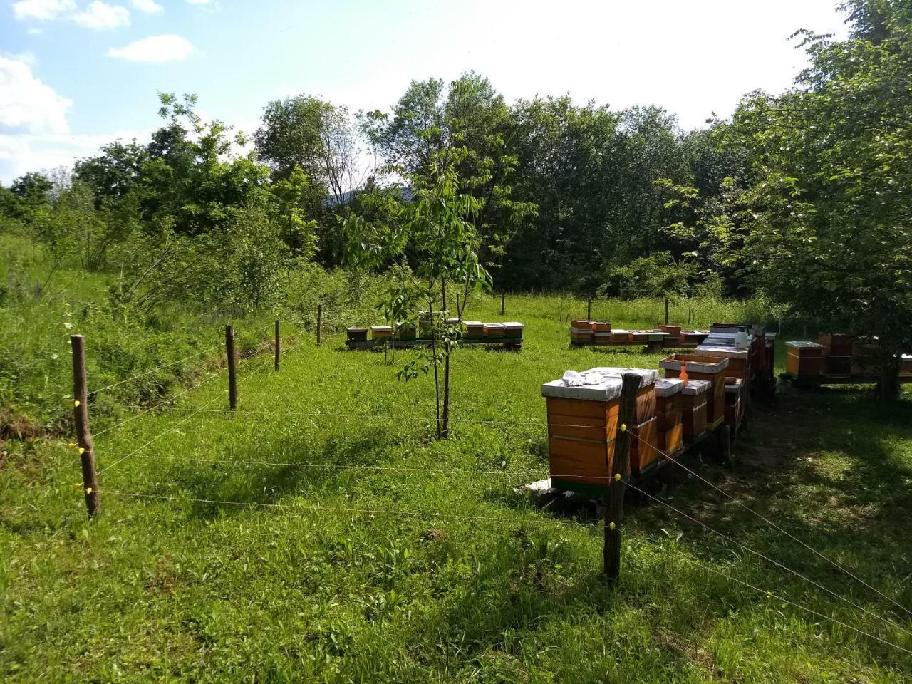 Dorina Hiza Villa Karlovac Bagian luar foto