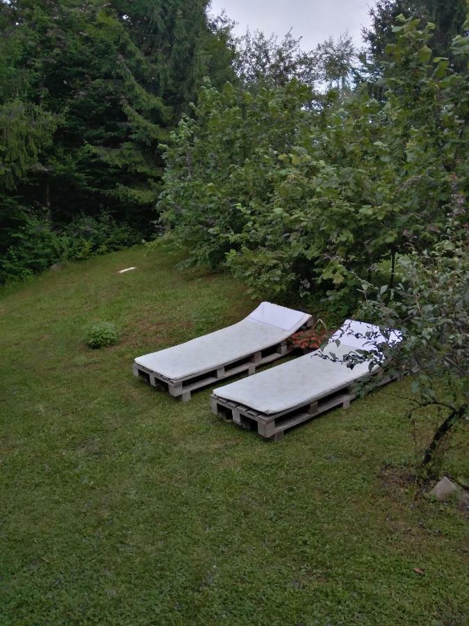 Dorina Hiza Villa Karlovac Bagian luar foto