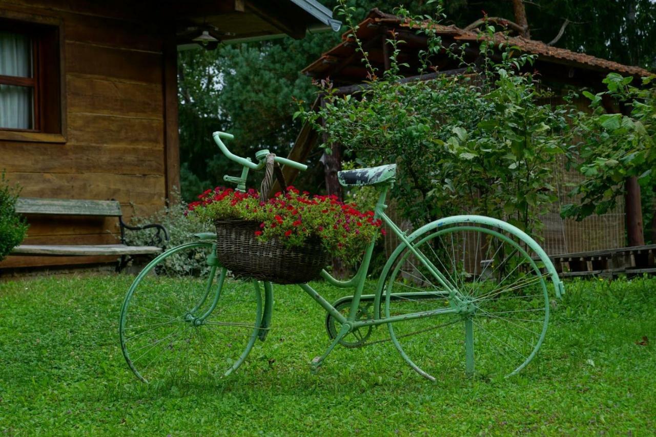 Dorina Hiza Villa Karlovac Bagian luar foto