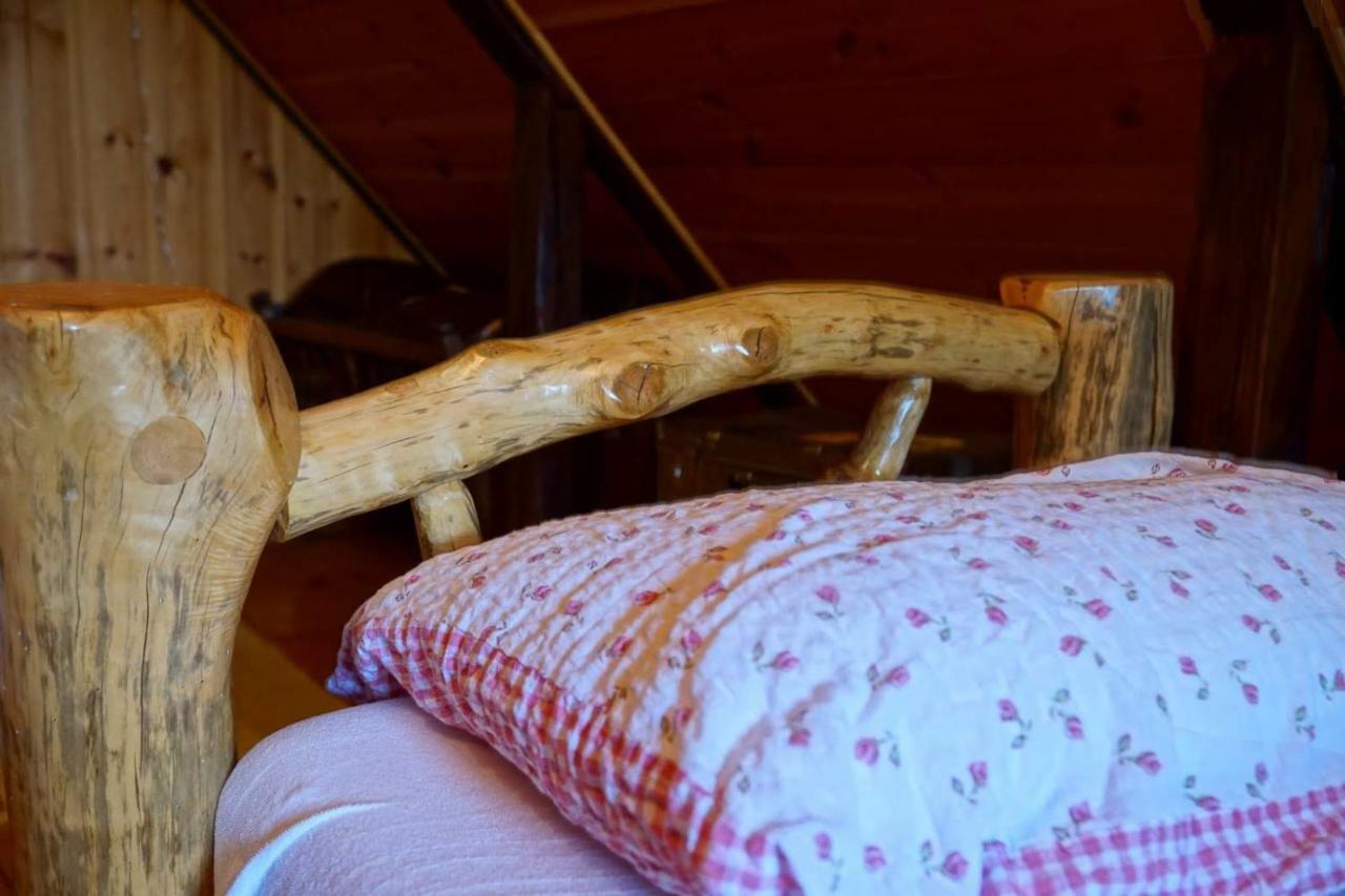 Dorina Hiza Villa Karlovac Bagian luar foto