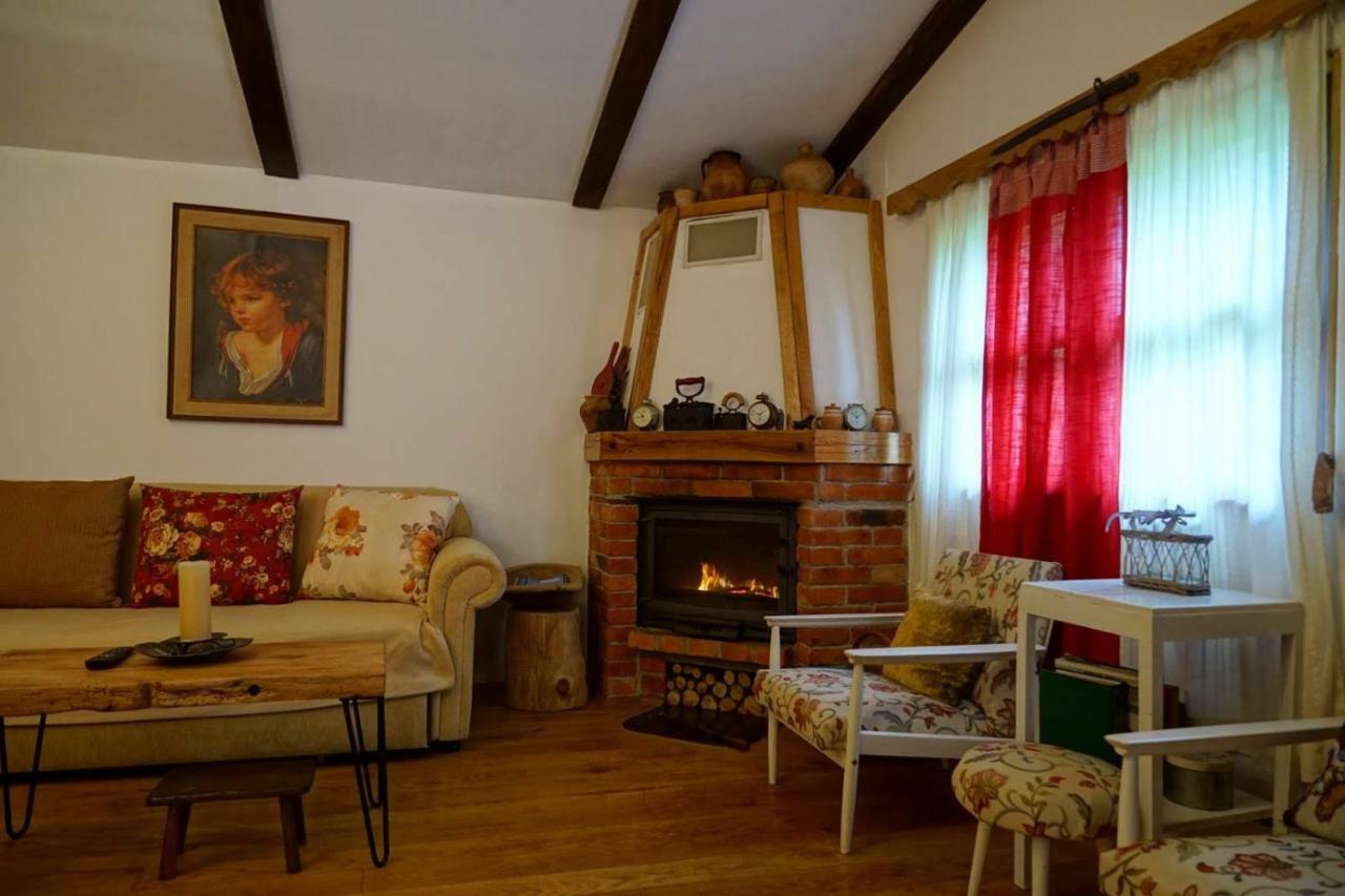 Dorina Hiza Villa Karlovac Bagian luar foto