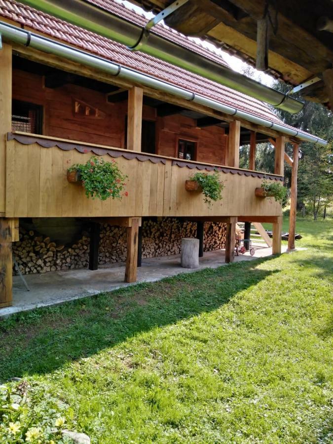 Dorina Hiza Villa Karlovac Bagian luar foto